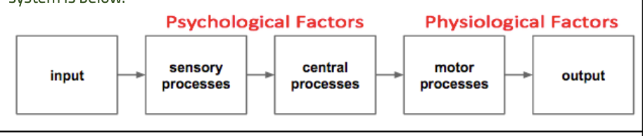 <p>it considers the input processes (sensory, central, and motor) and the outputs.<br></p><p>input: generated or received</p><p>sensory process: human senses take in info</p><p>central process: brain processes info and makes decision</p><p>motor process: a physical response</p><p>output: action carried out<br></p>