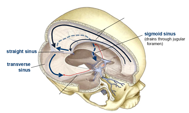 <p>what are these called?</p>