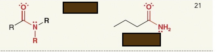 <p>Identify the functional group</p>