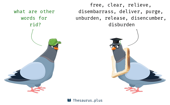 <p><span style="background-color: transparent;"><span>rid</span></span></p>