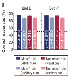 <p>what did Veit et al. (2014) find in terms of differences in firing rate </p>