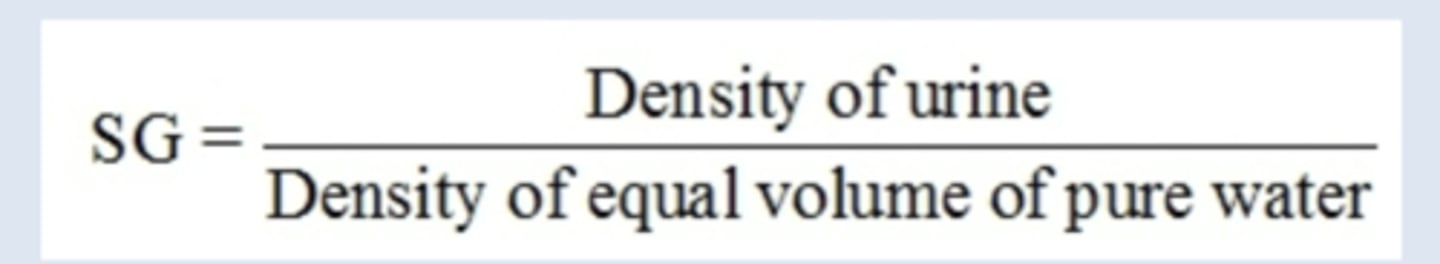 <p>Specific gravity (SG)</p>