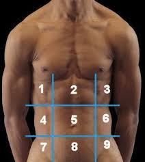<p>(122) #5 is the:</p>