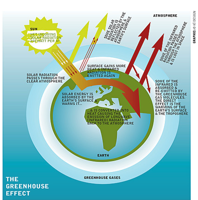 <ul><li><p>The greenhouse effect, which warms the Earth’s surface</p></li></ul><p></p>