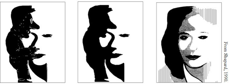 We can be pushed into perceiving an object a certain way based on what we are shown before it
