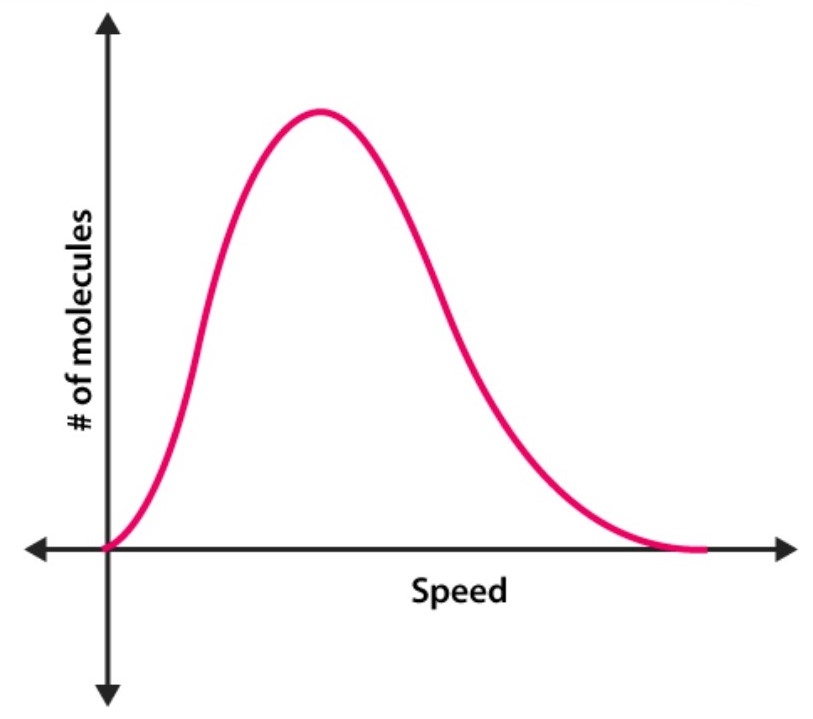 <p>What does the highest point on the graph represent?</p>