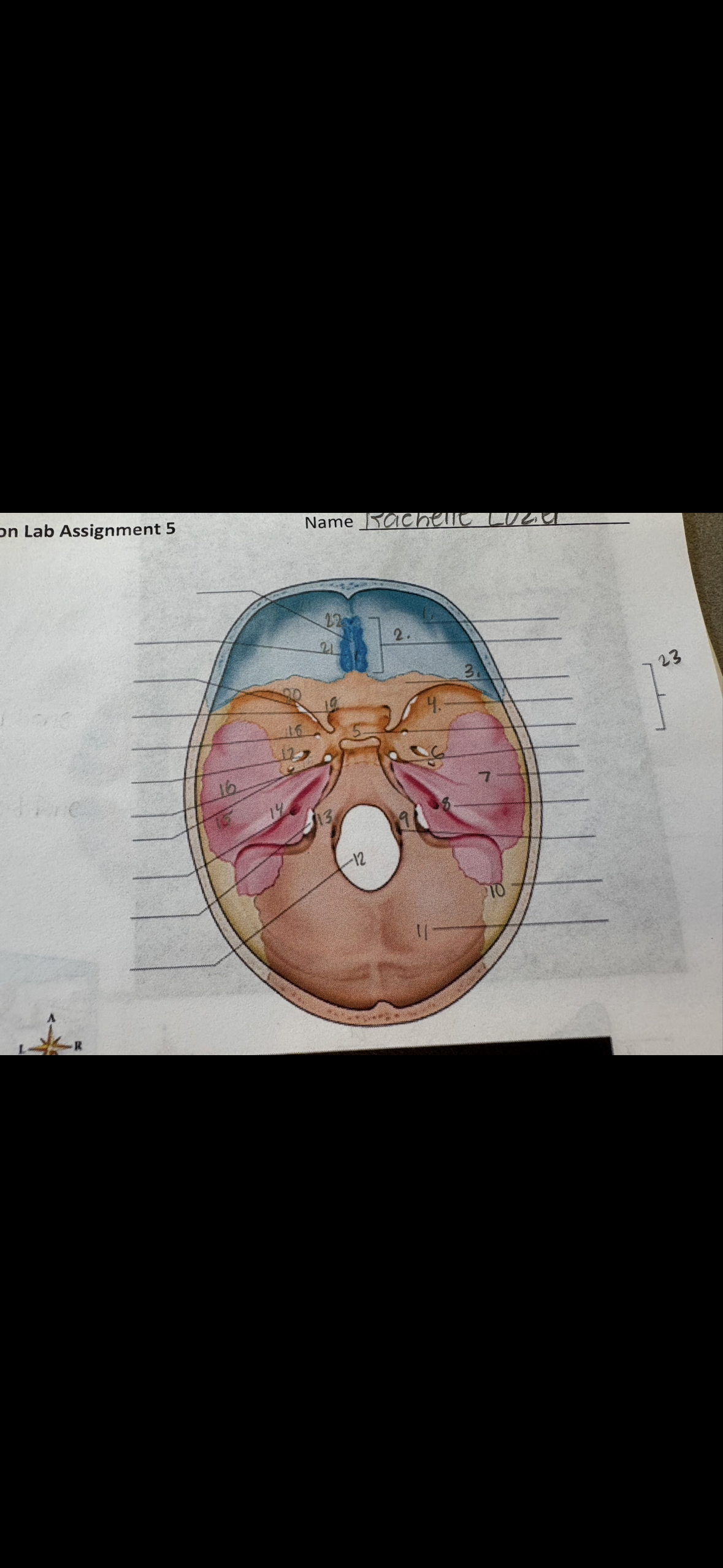 <p>18</p>
