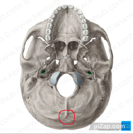 knowt flashcard image