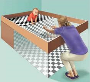 <p>a laboratory device for testing depth perception in infants and young animals. It provides a clever operational definition of depth perception. Operational definitions represent the exact procedures (or operations) used in research study, and they allow for replication. In this case, the variable, depth perception is operationalized by whether or not infants will crawl across the visual cliff</p>