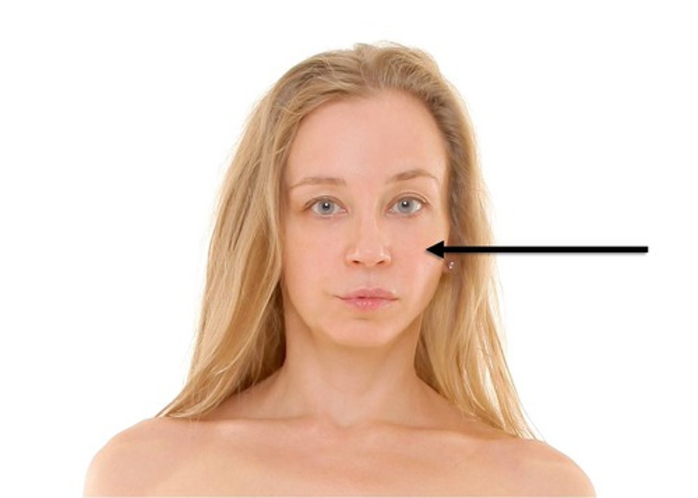 <p>Buccal region</p>