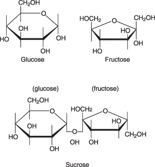<p>Fructose + Glucose</p>