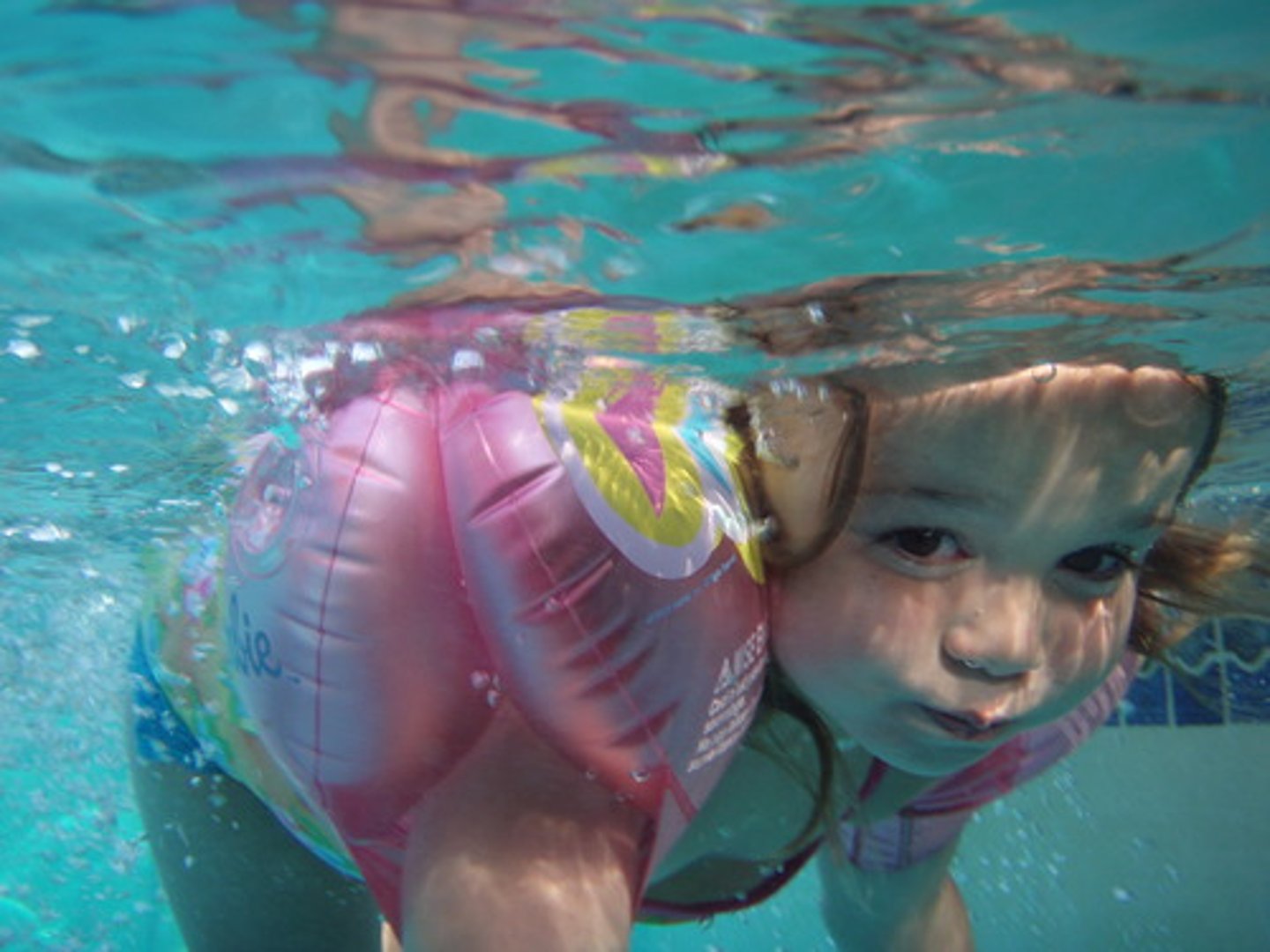 <p>I swam</p>