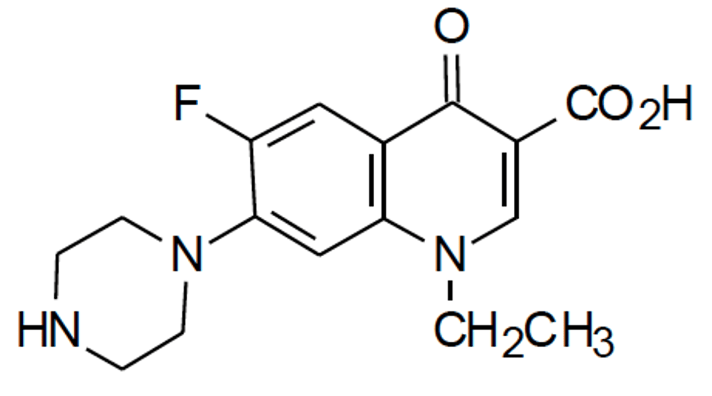 <p>Flourine at C6</p>