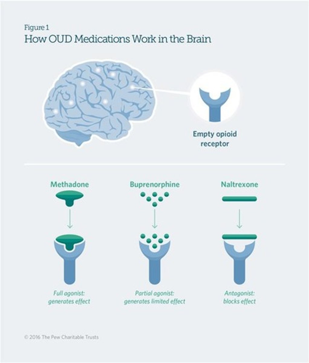 <p>1. Methadone - Opioid agonist that reduces opioid craving, dispensed in regulated clinics. 2. Buprenorphine - Partial agonist that blocks other narcotics while reducing withdrawal risk, available as a dissolving tablet, cheek film, or implant. 3. Naltrexone - Non-addictive opioid antagonist that blocks effects of other narcotics, available as a daily pill or monthly injection.</p>