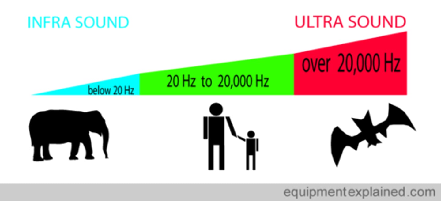 <p>Sound waves that have a frequency higher than the upper limit for human hearing (above 20,000 Hz)</p>
