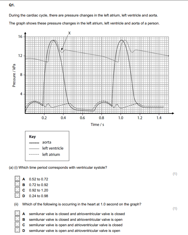<ul><li><p>calc heart rate</p></li></ul><p></p>