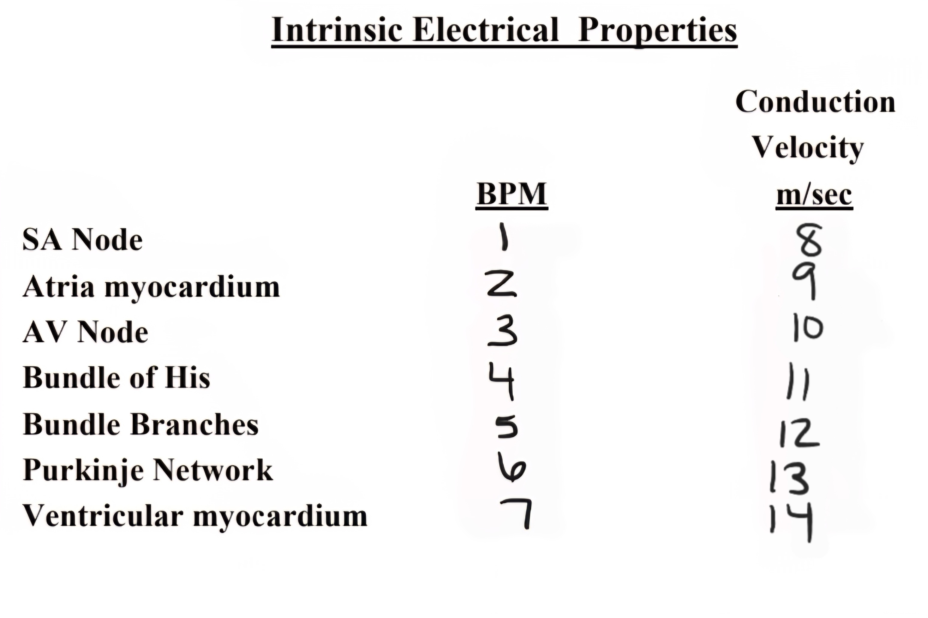 term image