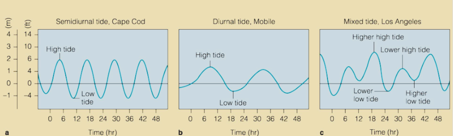 <p><span>Two tidal cycles daily with a period 12 hours 25 minutes. Common in majority of the world.</span></p>