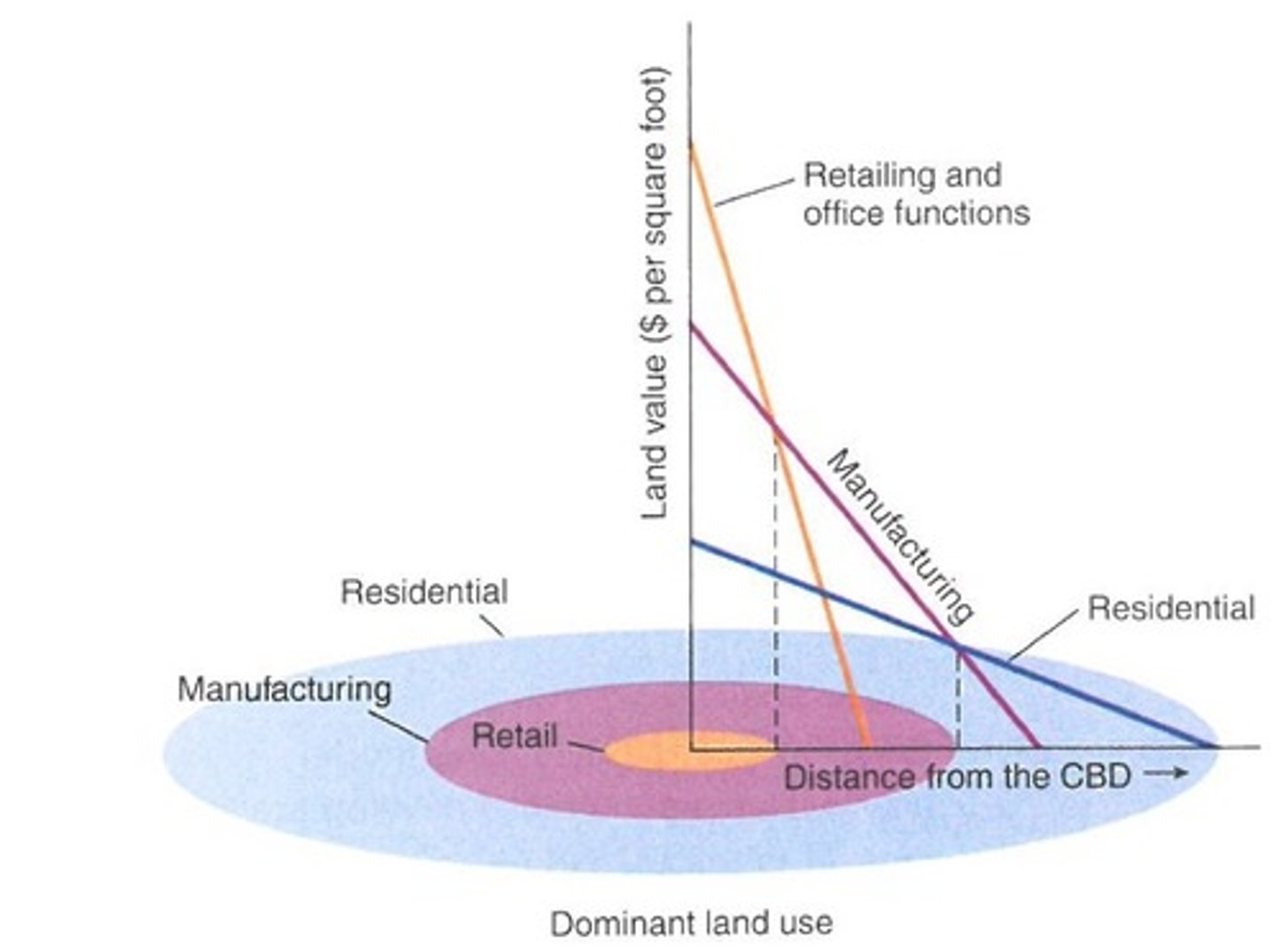 <p>extension of the von Thünen model that implies that rent is equal to the value of the product minus production and transportation costs, shows what various land users are prepared and able to pay for access to the center market (CBD), the further from the center market (CBD), the lower the cost for a site, intensive and extensive farming practices are in part by land costs (bid-rent theory)</p>