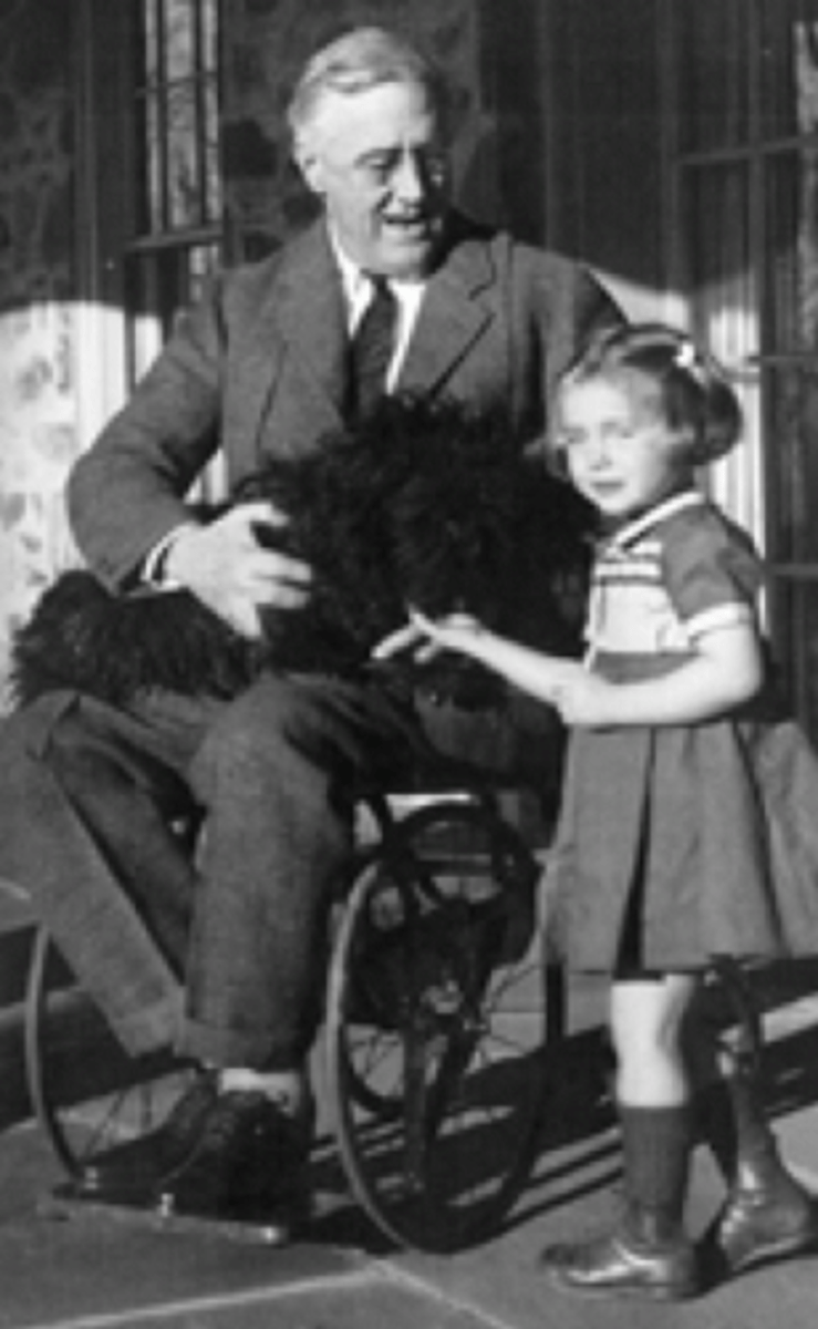 <p>President of the United States who was paralyzed from contracting polio as an adult. He started the non-profit organization, March of Dimes as a way of raising money for research and finding a cure for polio.</p>
