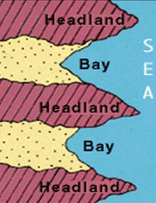 <p>- coastlines consist of bands of soft rock &amp; hard rock which are perpendicular to the sea</p><p>- because of differential erosion, the bands of soft rock erode much faster to forms bays &amp; the hard rock is left sticking out as headlands</p><p>- overtime, the headlands will erode as well making the coastline straight again; then the process will start over</p>