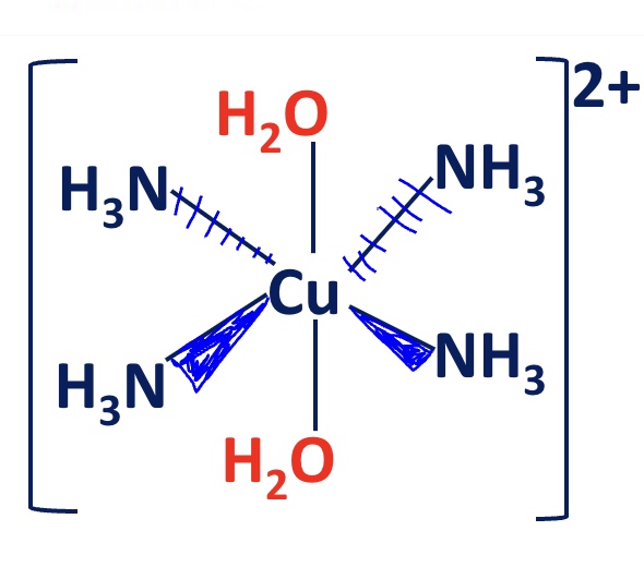 <ul><li><p>the structure of the complex ion is slightly distorted as the Cu-O bond is shorter </p></li><li><p>so the best arrangement is to have the ammonia ligands in. asquare planar arrangement (trans isomer)</p></li></ul><p></p>