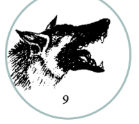 <ul><li><p><span style="background-color: transparent; font-family: "Times New Roman", serif;"><span>Mixed messages coming from dog</span></span></p><ul><li><p><span style="background-color: transparent; font-family: "Times New Roman", serif;"><span>Dog in motivation conflict</span></span></p></li></ul></li></ul><ul><li><p><span style="background-color: transparent; font-family: "Times New Roman", serif;"><span>Ears halfway back</span></span></p></li><li><p><span style="background-color: transparent; font-family: "Times New Roman", serif;"><span>Eyes closed</span></span></p></li></ul><ul><li><p><span style="background-color: transparent; font-family: "Times New Roman", serif;"><span>Hair sticking up</span></span></p></li><li><p><span style="background-color: transparent; font-family: "Times New Roman", serif;"><span>Mouth open, teeth showing</span></span></p></li></ul><p></p><ul><li><p><span style="background-color: transparent; font-family: "Times New Roman", serif;"><span>Submissive posture - body small</span></span></p></li><li><p><span style="background-color: transparent; font-family: "Times New Roman", serif;"><span>Not going forward, holding back</span></span></p></li><li><p><span style="background-color: transparent; font-family: "Times New Roman", serif;"><span>Teeth barred</span></span></p></li><li><p><span style="background-color: transparent; font-family: "Times New Roman", serif;"><span>Could be whimper and growl</span></span></p></li><li><p><span style="background-color: transparent; font-family: "Times New Roman", serif;"><span>Tail down</span></span></p></li></ul><p></p>