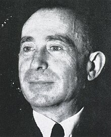 <p>Manfred Sakel </p>