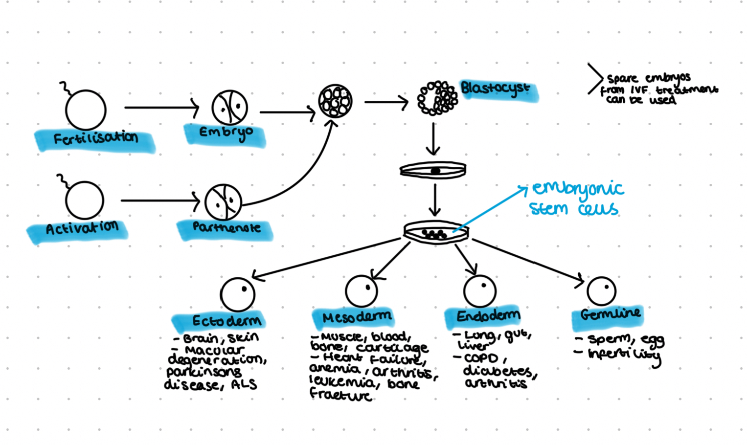 knowt flashcard image