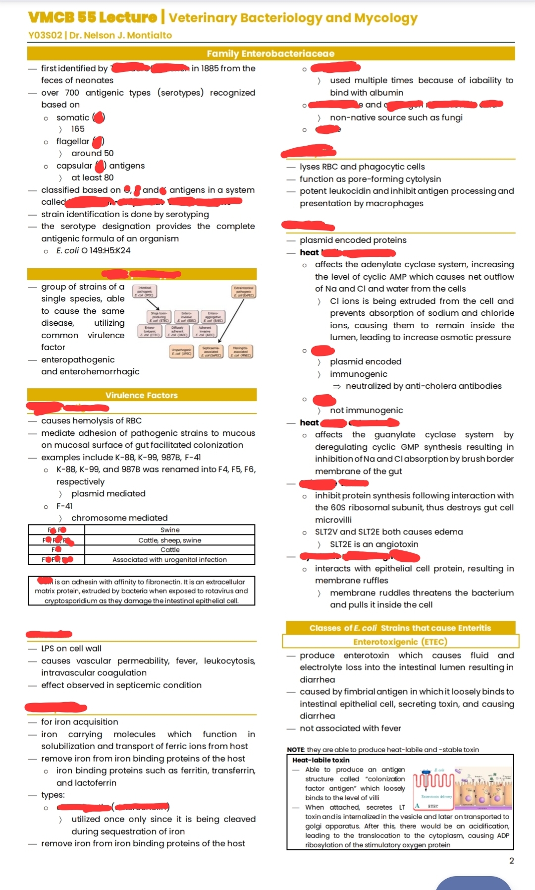 knowt flashcard image