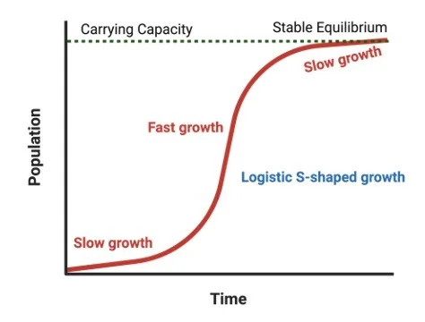 <ul><li><p>A period of slow growth.</p></li><li><p>Small individuals that are initially present reproduce, increasing the total population. </p></li><li><p>As the birth rate is higher than the death rate, the population increases in size.</p></li></ul><p></p>