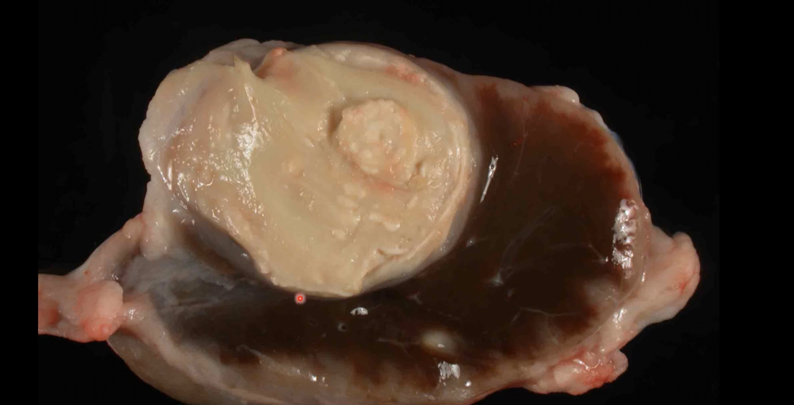 <p>what is happening</p>