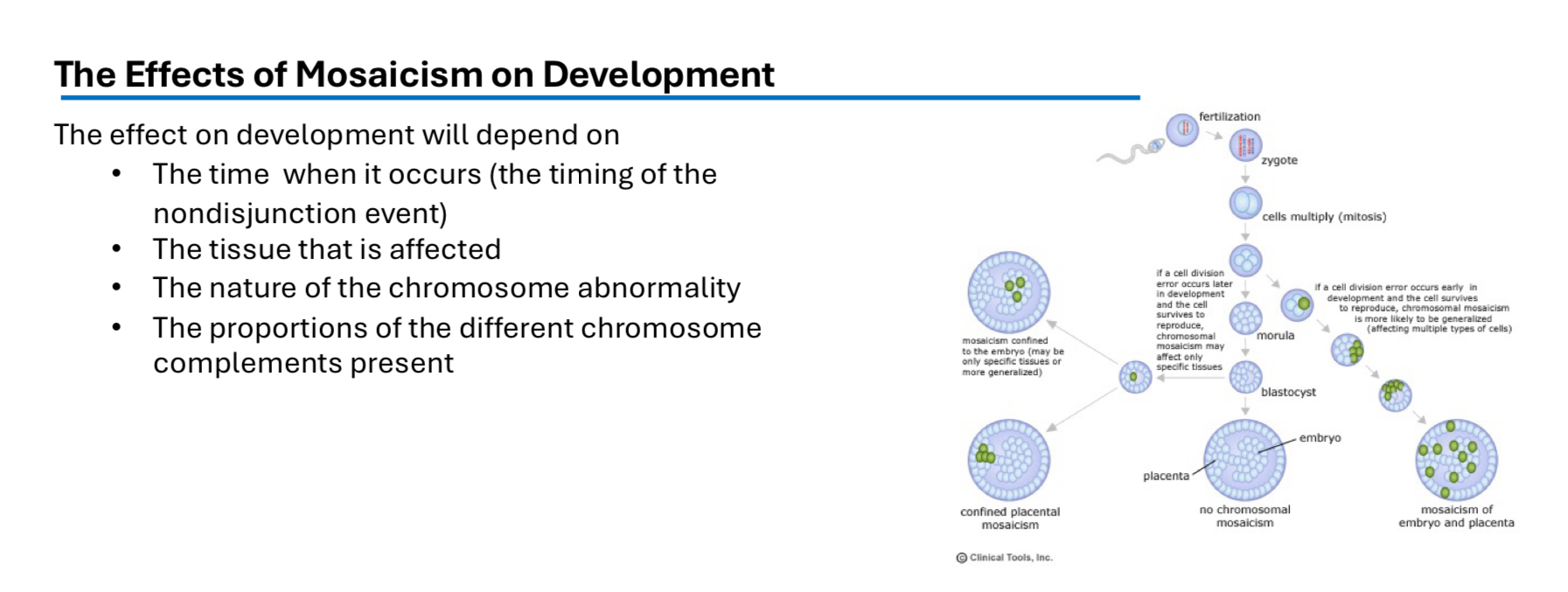 <p>A condition in which a single individual has two or more genetically different cell lines derived from a single zygote.</p><p>This type of mosaic is arises after fertilization and during the early cleavage stage of development.&nbsp;</p><p>Usually due to mitotic nondisjunction, post-zygotic nondisjunction&nbsp;</p>