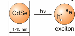<p>They are semiconductor nanoparticles that can fluoresce.</p><p>When excited, the quantum dot forms an electron hole pair. Recombination of the electron and hole leads to fluorescence.</p><p>They have important applications as fluorescent labels in biology.</p>