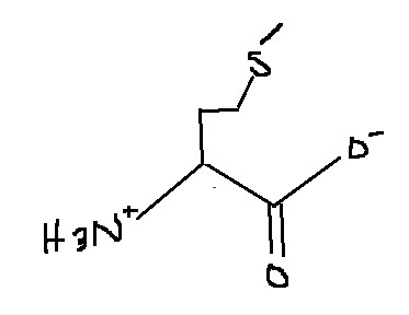 <p>Which amino acid is this?</p>