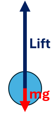 <p>Centripetal force F = L - mg</p><p>L = F + mg = mv²/r + mg</p>