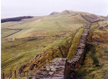 <p>Wat? + periode?</p>