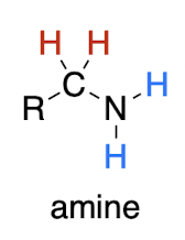 <p>amine<br>always 1,2 addition</p><p>only works with LiAlH4 (hammer) because it’s more reactive, can reduce [3] to [1] → which is why it needs to be introduced in separate steps</p>