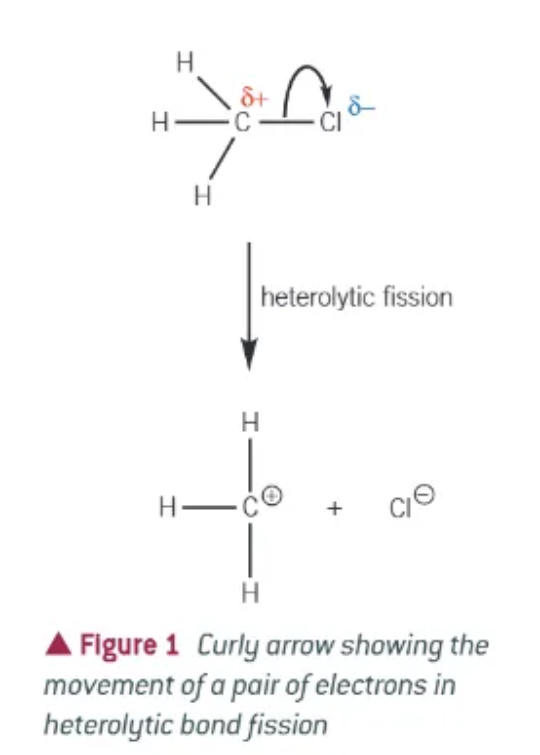 <p>the movement of a pair of electrons </p>