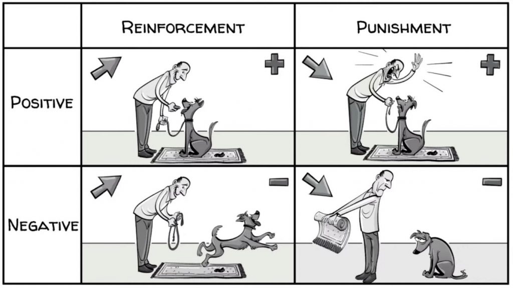 <p>Operant conditioning</p>
