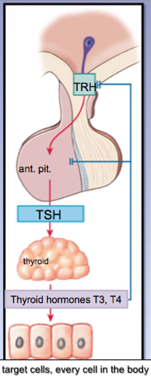 <p>0.4-4</p><p>10-27</p>