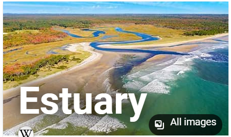 <p>What is the biggest contributor to Water Quality impairment for Estuaries?</p>