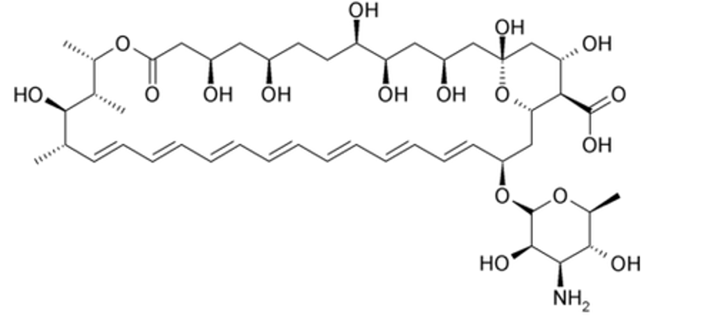 <p>systemic macrocyclic lactone with hydrophilic (top) and hydrophobic (bottom) regions</p>