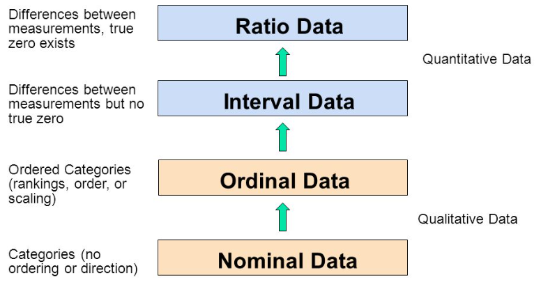 <p>Nominal data scale</p>