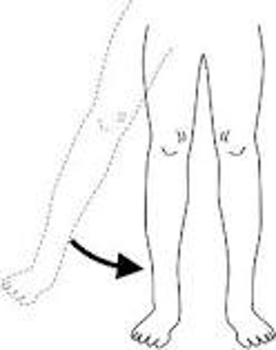 <p>a movement that brings a limb closer to the body</p>