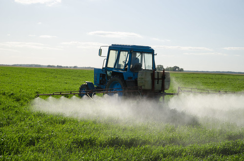 Pesticides are chemicals that are meant to protect plants (usually crops) from weeds, fungi, or insects. Insecticides are a class of pesticides that target insects.