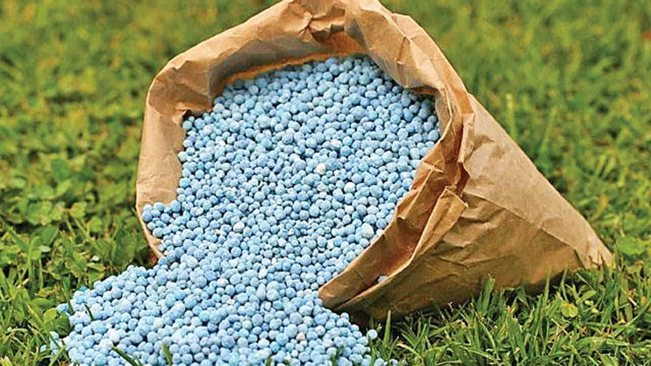 <p>fertiliser /ˈfɜːtɪlaɪzə(r)</p>