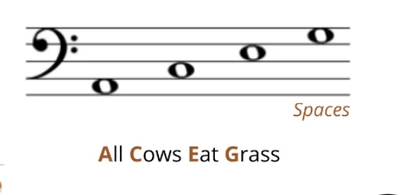 <p>all</p><p>cows</p><p>eat </p><p>grass</p>