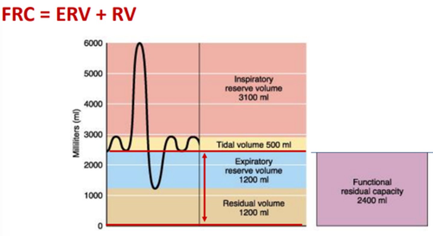 <p>expiratory reserve volume + residual volume</p>