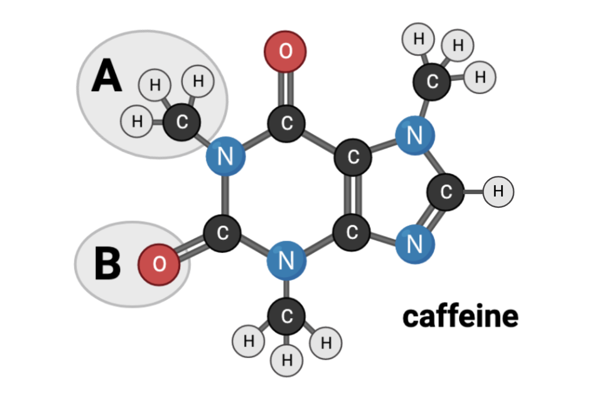 <p>Which terms accurately describe the chemical nature of Region B? Select <strong>all</strong> that apply.</p><ul><li><p><span>a. nonpolar</span></p><p><span>b. polar</span></p><p></p></li><li><p><span>c. hydrophobic</span></p><p><span>Should not have been checked.</span></p></li><li><p><span>d. hydrophilic</span></p></li></ul><p></p>